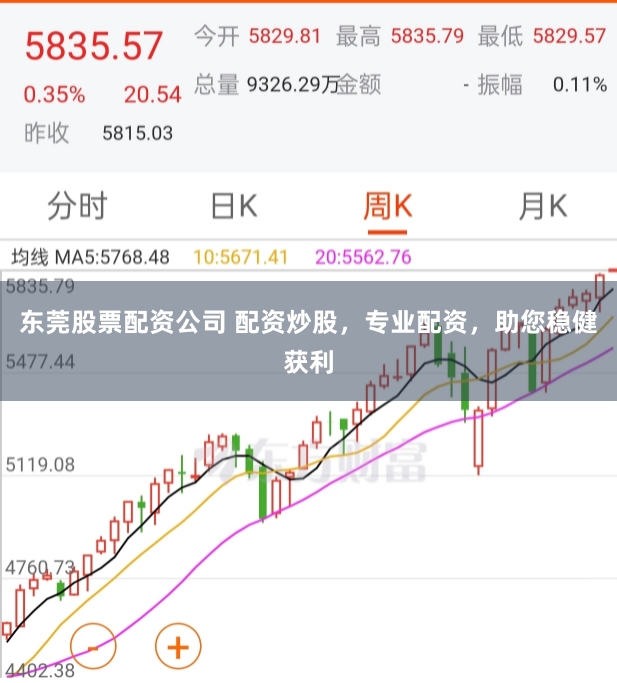 东莞股票配资公司 配资炒股，专业配资，助您稳健获利