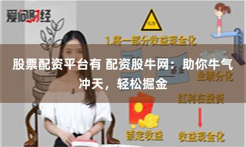 股票配资平台有 配资股牛网：助你牛气冲天，轻松掘金