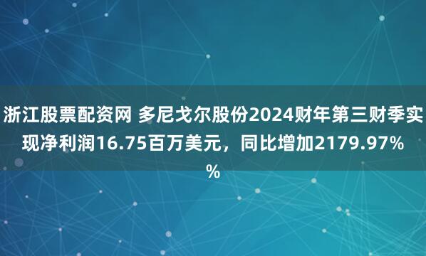浙江股票配资网 多尼戈尔股份2024财年第三财季实现净利润16.75百万美元，同比增加2179.97%