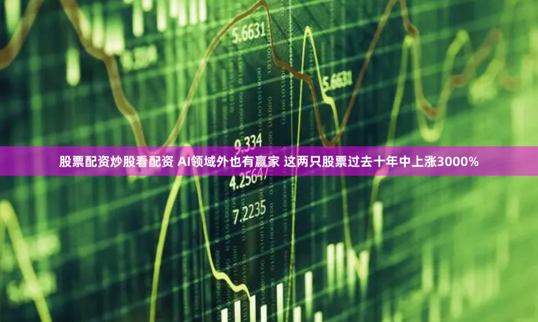 股票配资炒股看配资 AI领域外也有赢家 这两只股票过去十年中上涨3000%