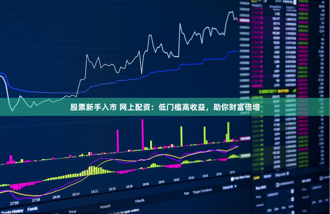 股票新手入市 网上配资：低门槛高收益，助你财富倍增