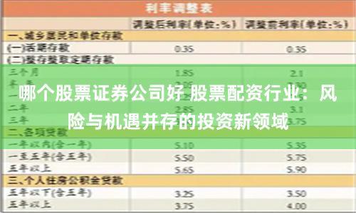 哪个股票证券公司好 股票配资行业：风险与机遇并存的投资新领域