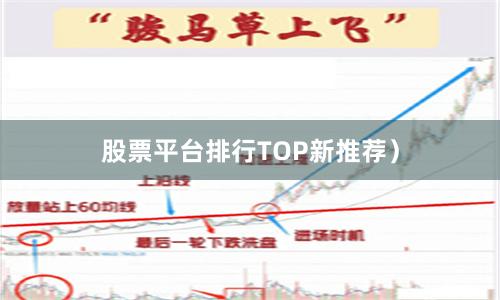 股票平台排行TOP新推荐)