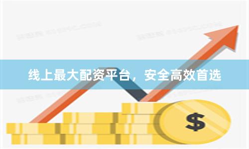 线上最大配资平台，安全高效首选